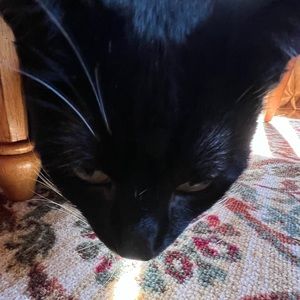 Meet your Posher, Mims